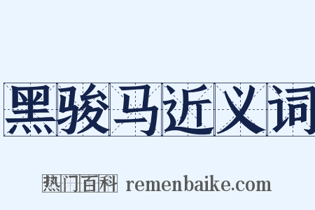 黑骏马近义词是什么意思的图片